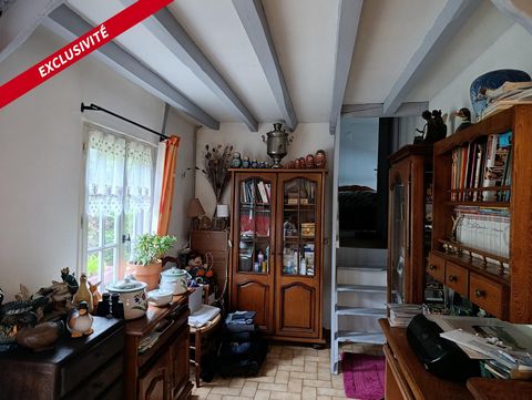photo no. 4