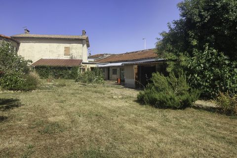 photo no. 12