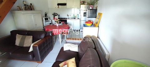 photo no. 11