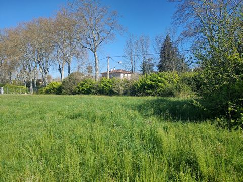 photo no. 13