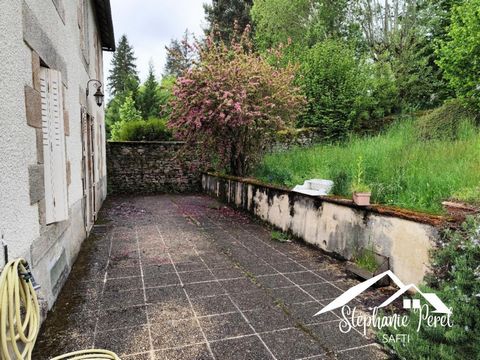photo no. 11