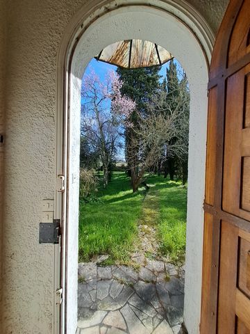 photo no. 13