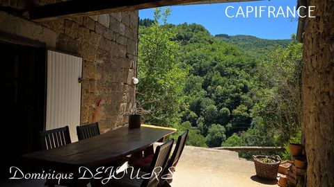 Ardèche, vallée de l'Auzène, magnifique maisons de 125m² en pierres entourée de nature - 2 hectares de nature - accés rivière