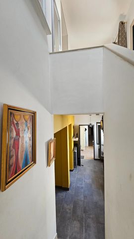 photo no. 4