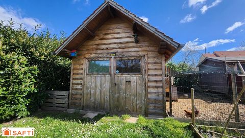 photo no. 12