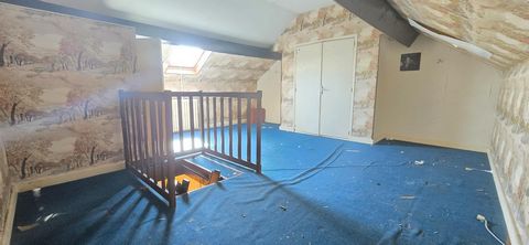 photo no. 13
