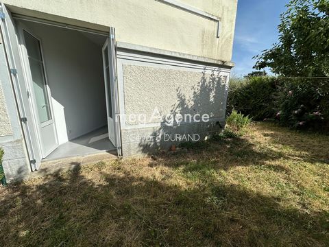 photo no. 6
