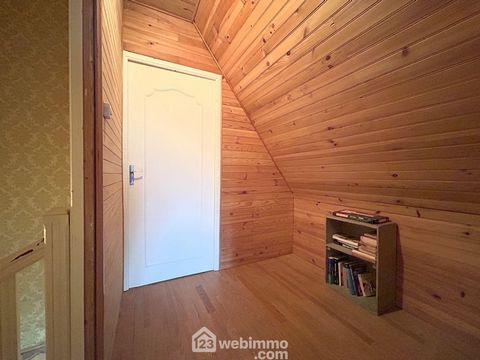 photo no. 12