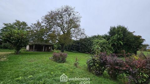 photo no. 19