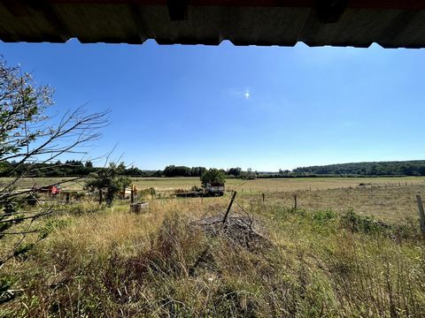 photo no. 11