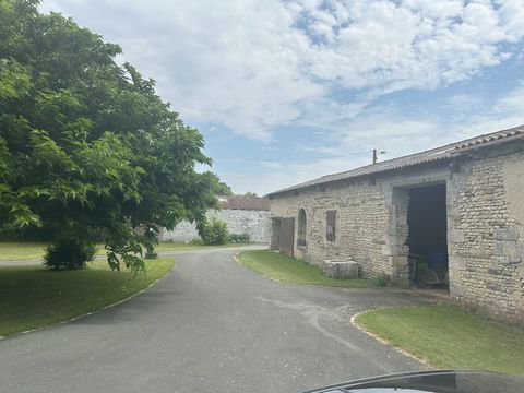 photo no. 19