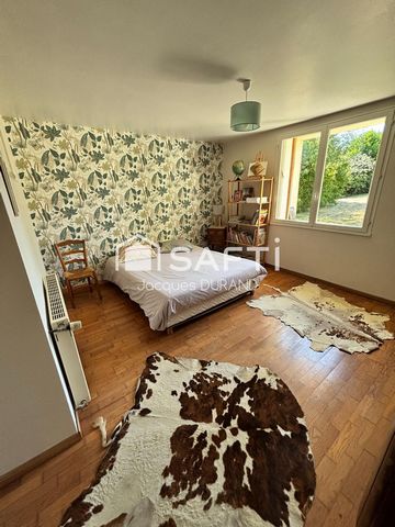 photo no. 16