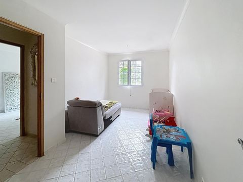 photo no. 8