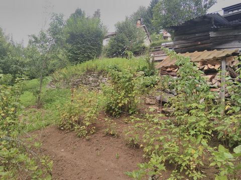 photo no. 14