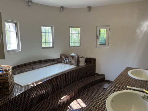 photo no. 12