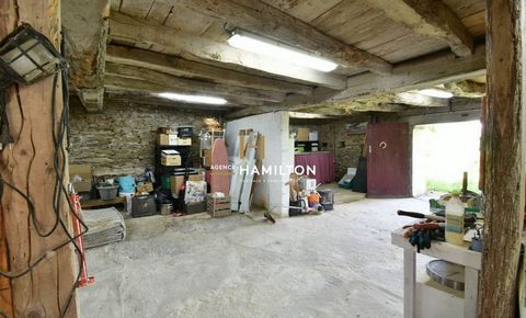 photo no. 21