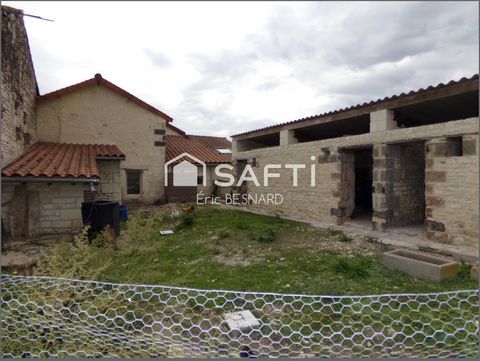 photo no. 12