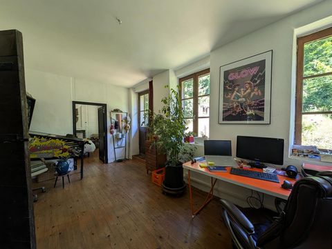 photo no. 18
