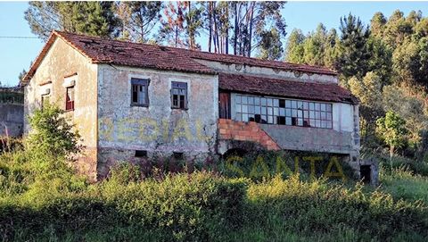 Housing to rehabilitate. Ground floor - 3 storage stores. 1 floor -Living room - 2 bedrooms -kitchen -marquee. It has a kitchen with a wood oven. Surrounding land. Pool and garden space It has unobstructed views. Excellent sun exposure. Views of the ...