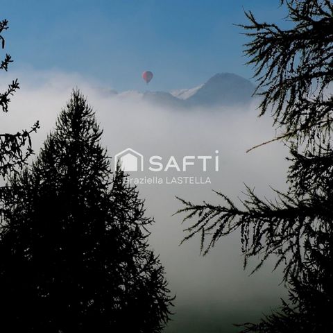 photo no. 16