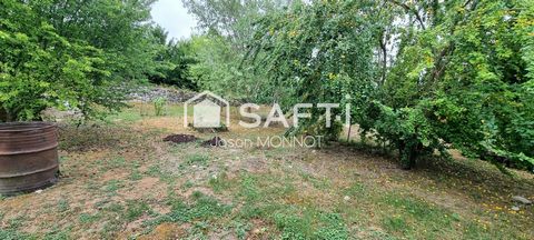 photo no. 15