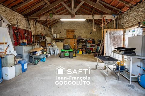 photo no. 13