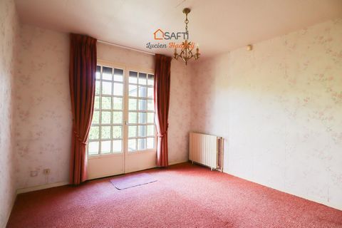 photo no. 11