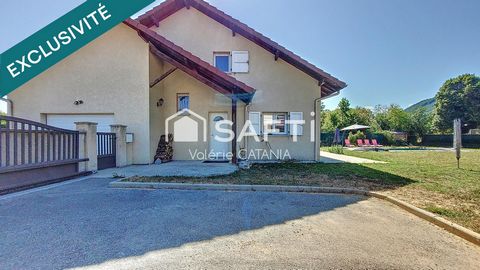 photo no. 13