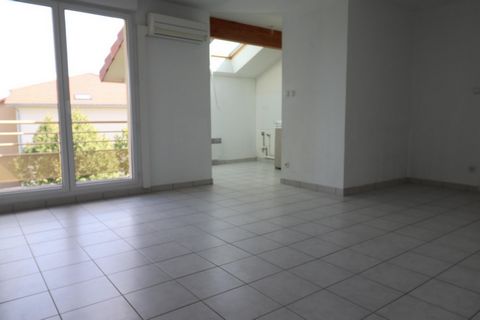photo no. 2