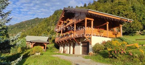 photo no. 14
