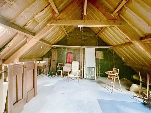 photo no. 8