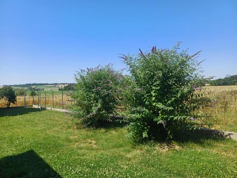 photo no. 12