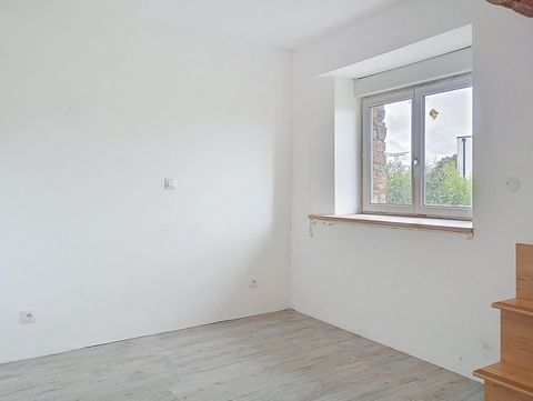 photo no. 9