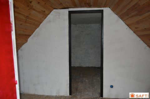 photo no. 12