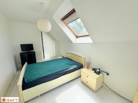 photo no. 8