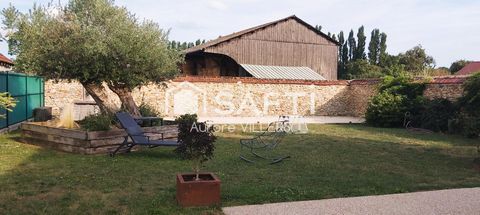 photo no. 19