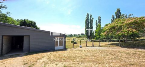 photo no. 12