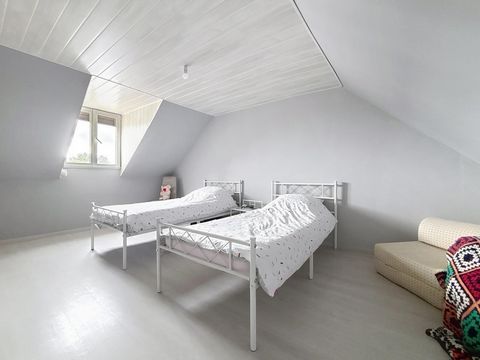 photo no. 7