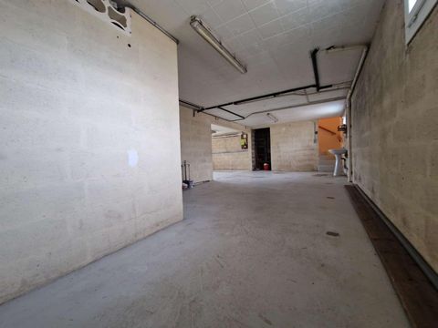 photo no. 12