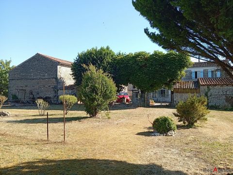 photo no. 13