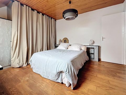 photo no. 11