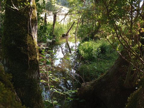 photo no. 12