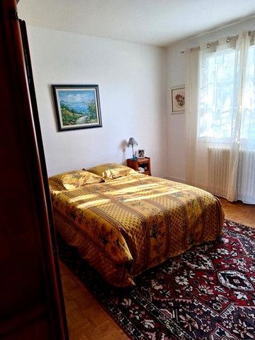 photo no. 6