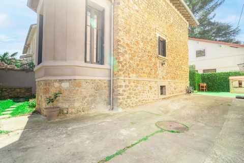 photo no. 17