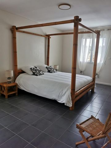 photo no. 13