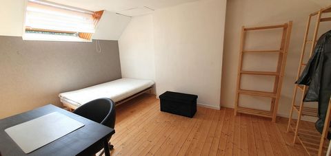 photo no. 12
