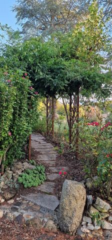 photo no. 14