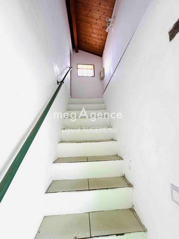 photo no. 5