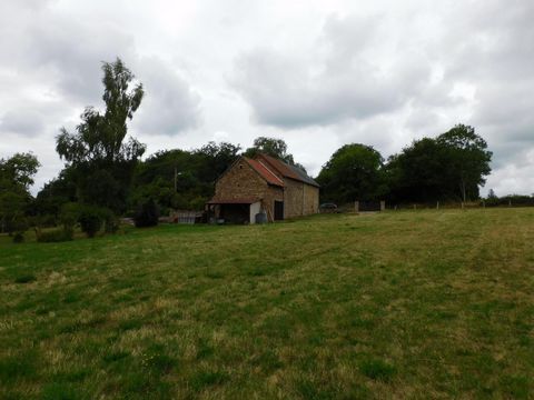 photo no. 6