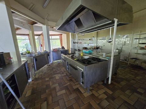 photo no. 12
